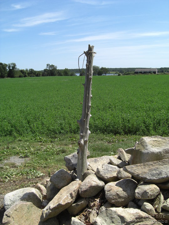 An image with no caption...