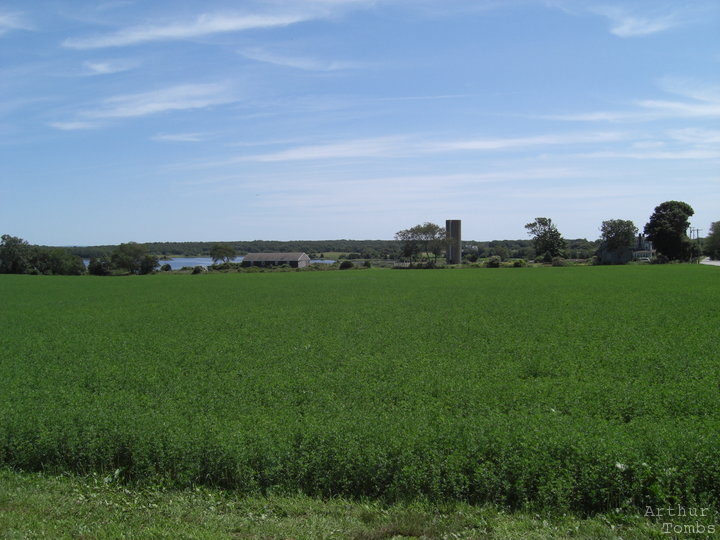 An image with no caption...