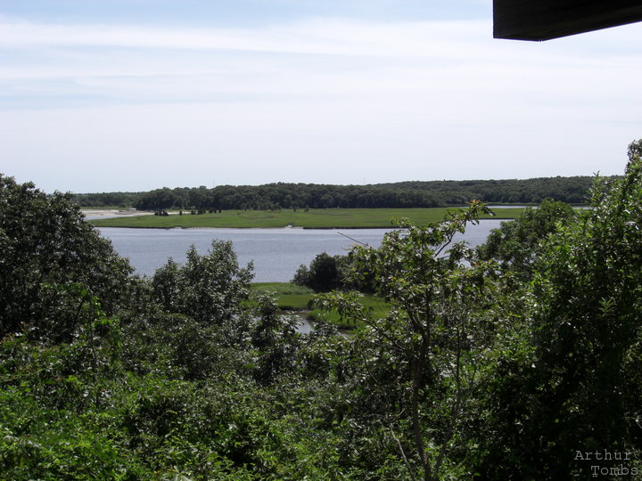 An image with no caption...