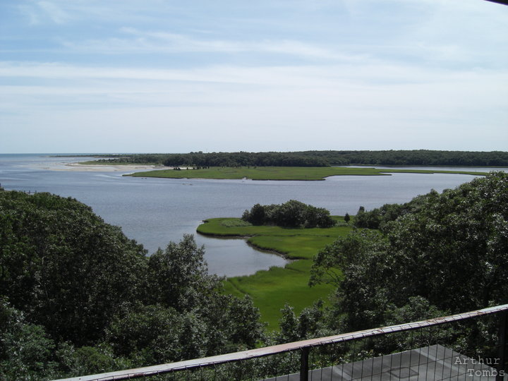 An image with no caption...