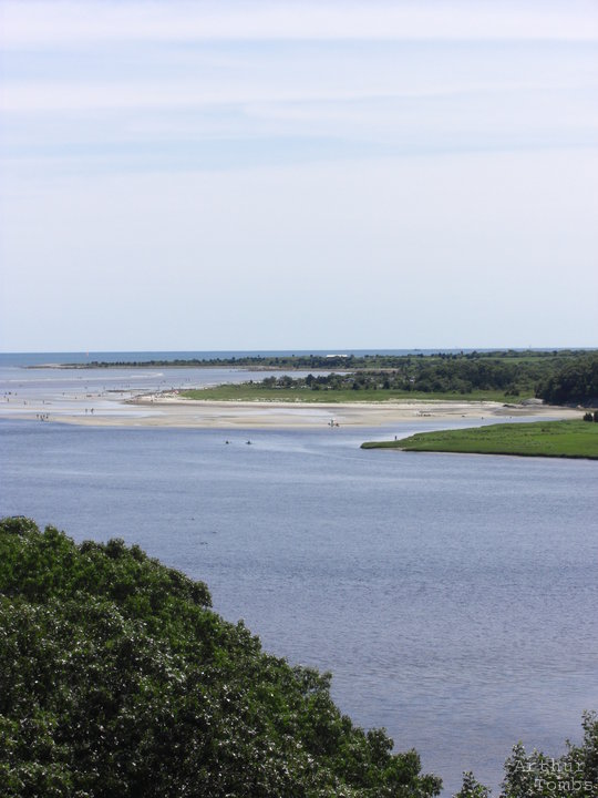 An image with no caption...