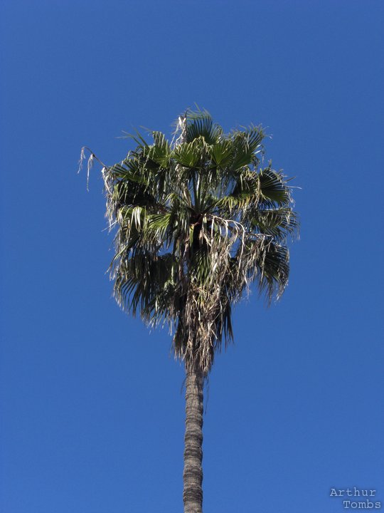 An image with no caption...