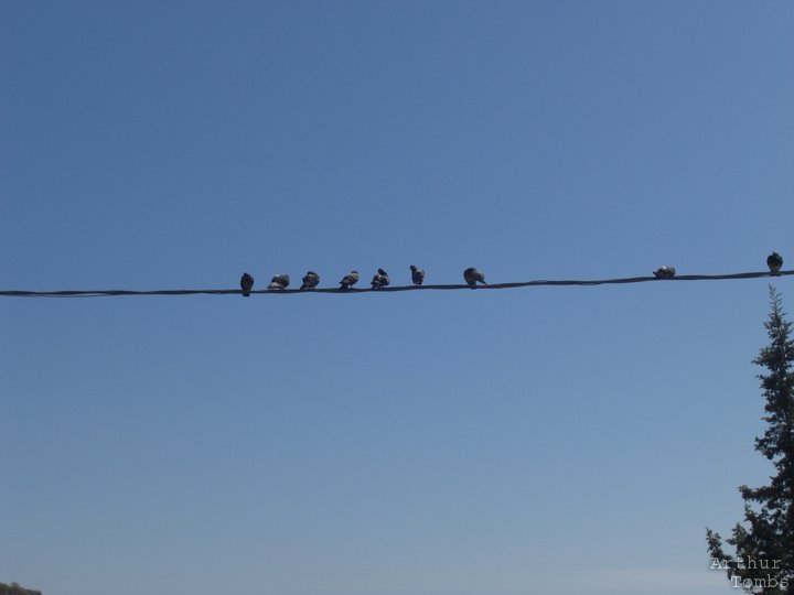 An image with no caption...