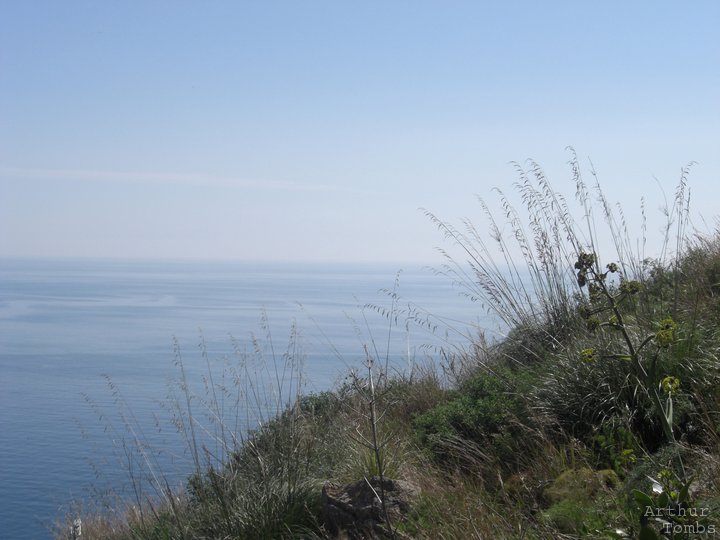 An image with no caption...