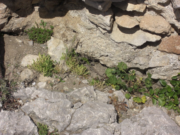 An image with no caption...