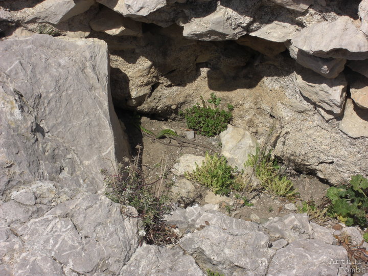 An image with no caption...