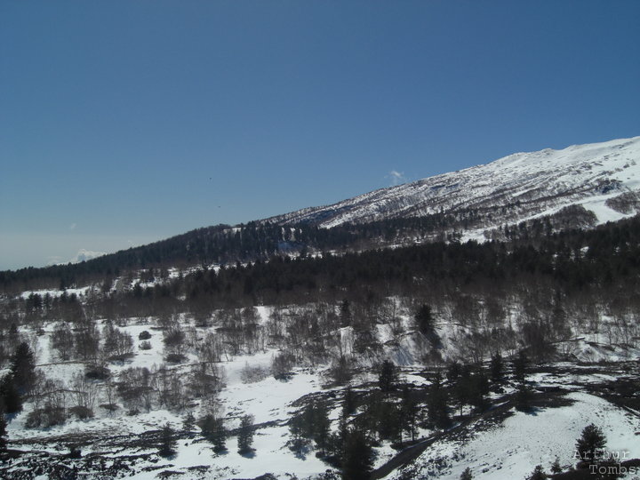 An image with no caption...