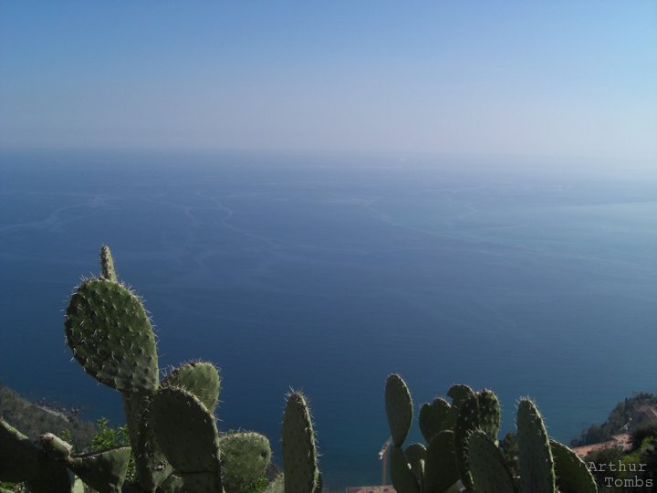 An image with no caption...