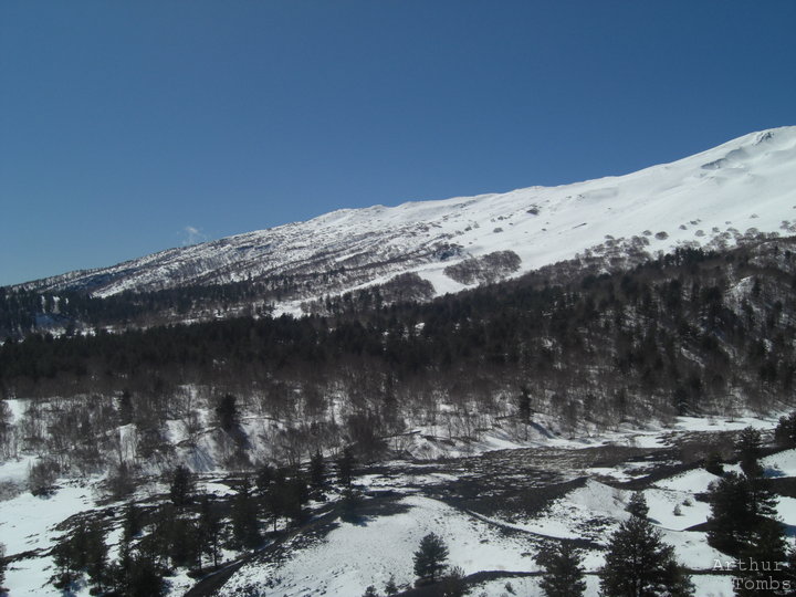 An image with no caption...