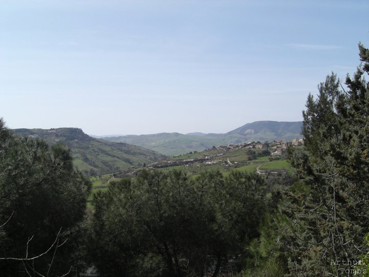 An image with no caption...