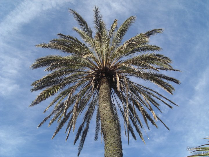 An image with no caption...