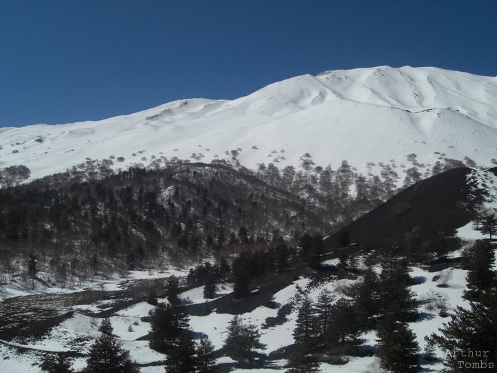 An image with no caption...