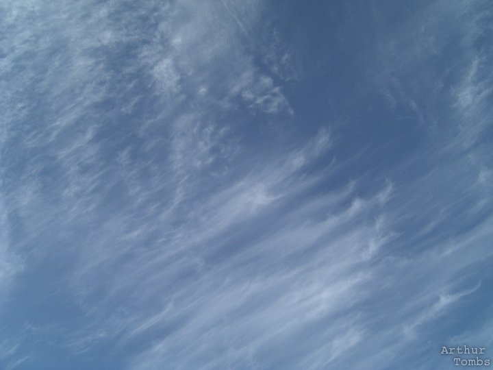 An image with no caption...