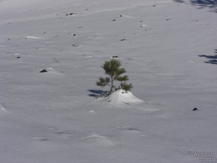 An image with no caption...