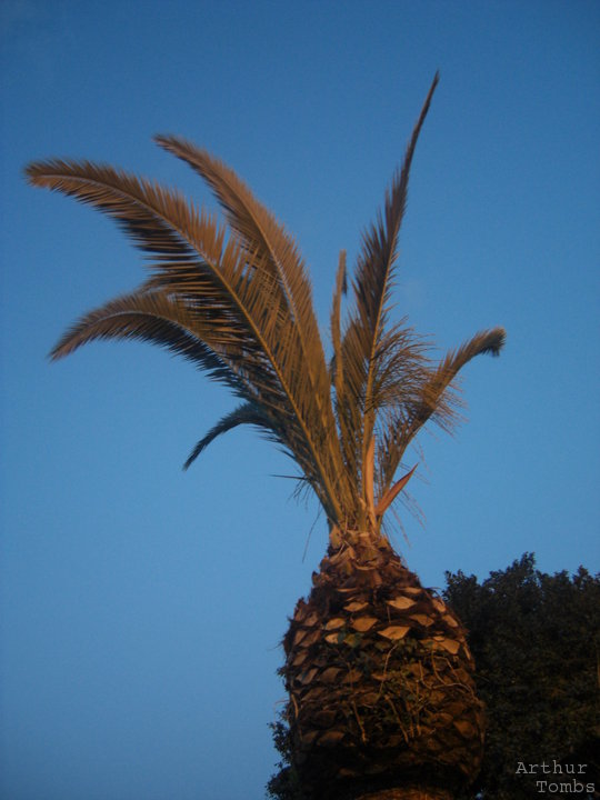 An image with no caption...