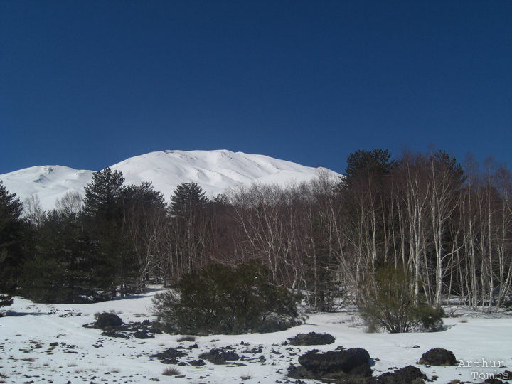 An image with no caption...