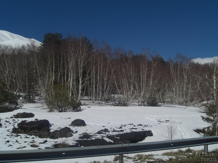 An image with no caption...