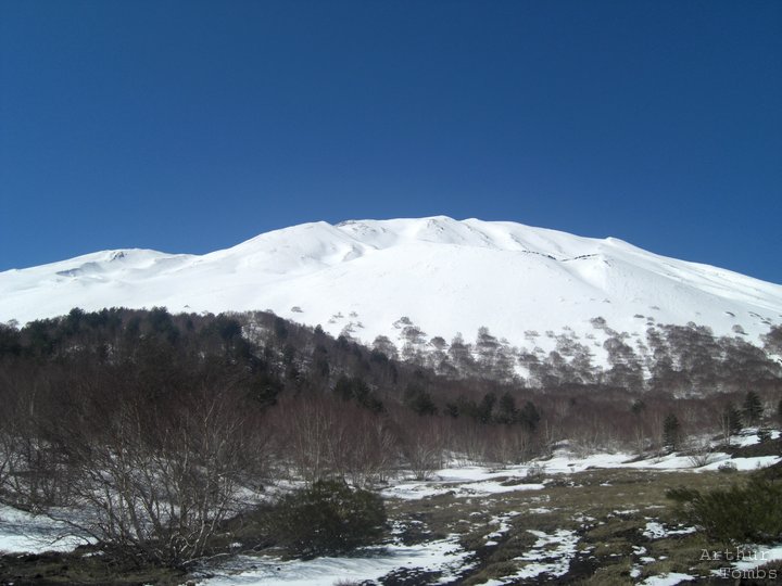 An image with no caption...