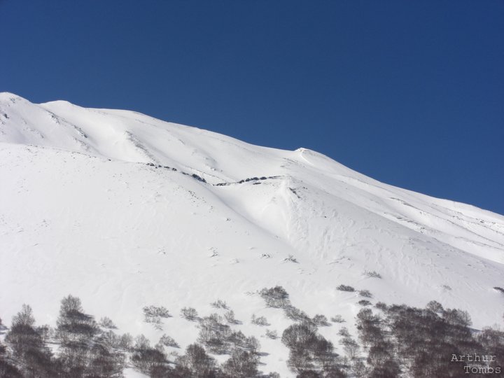 An image with no caption...