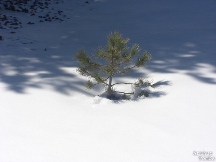 An image with no caption...