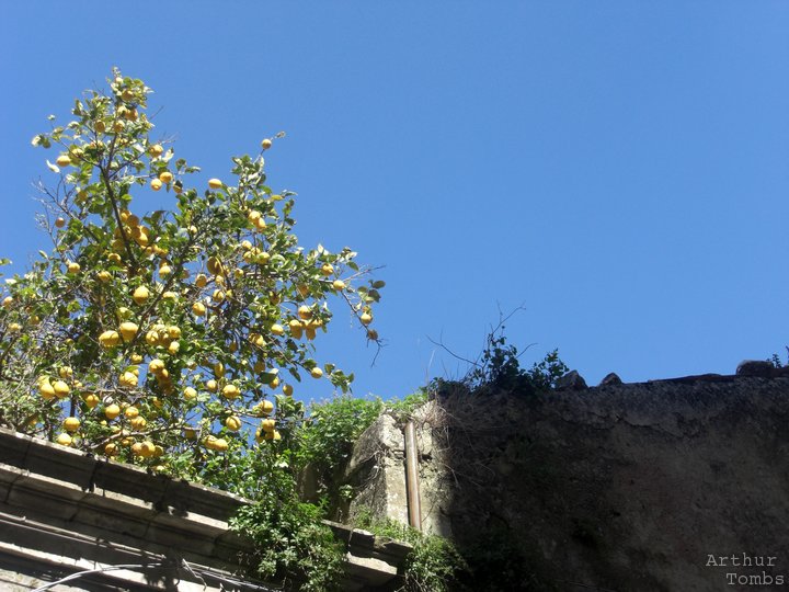 An image with no caption...