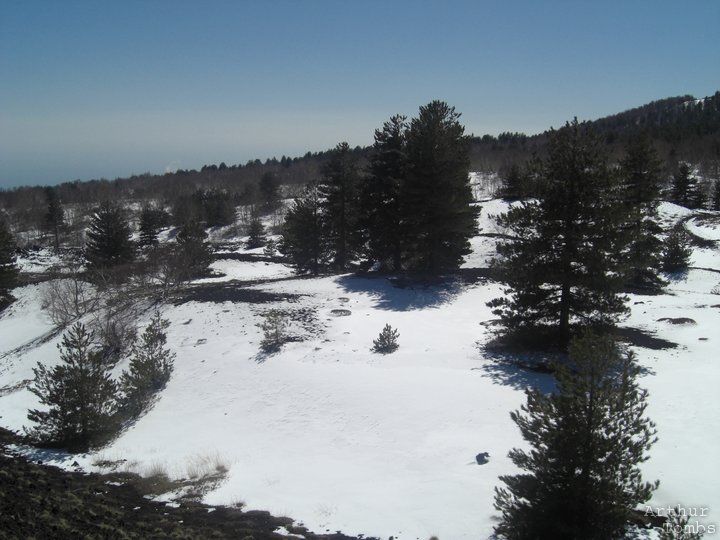 An image with no caption...