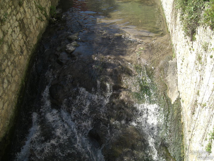 An image with no caption...