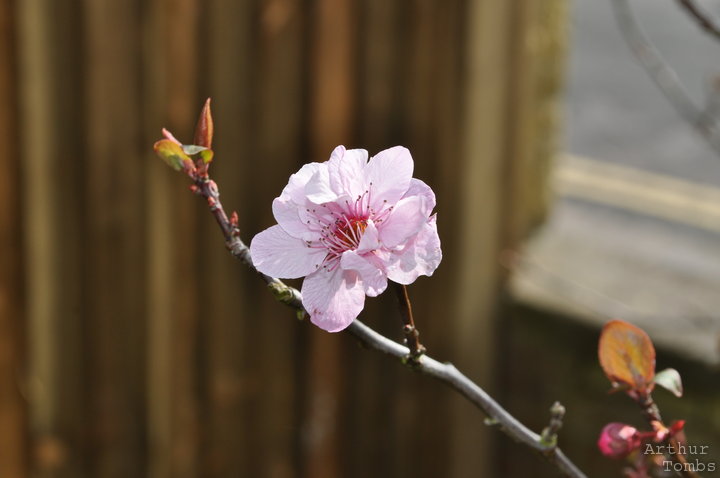 An image with no caption...