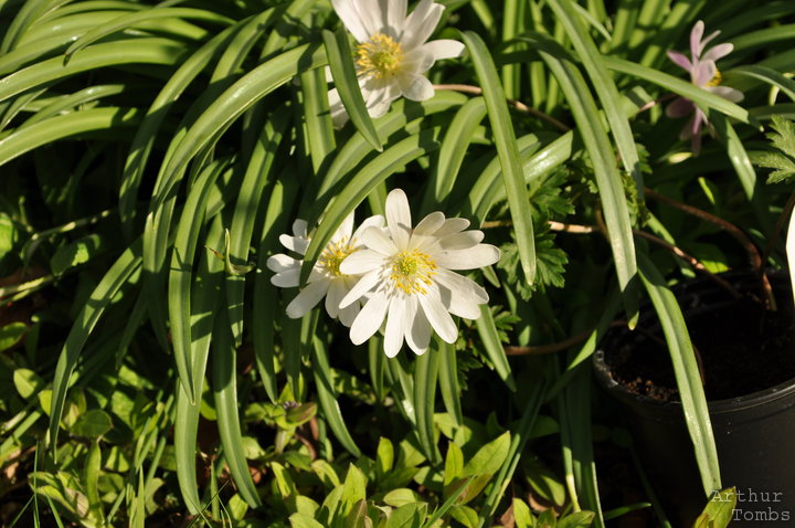 An image with no caption...