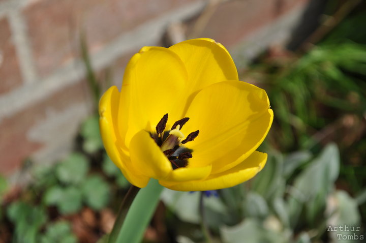 An image with no caption...