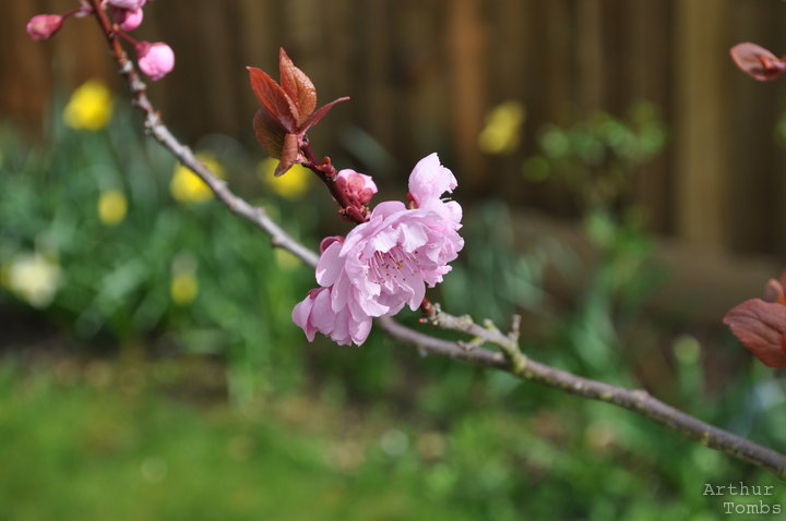 An image with no caption...