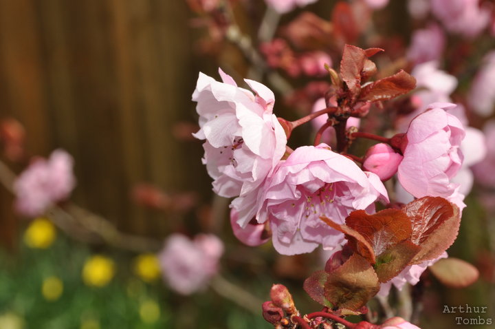 An image with no caption...