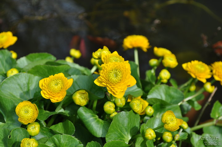 An image with no caption...