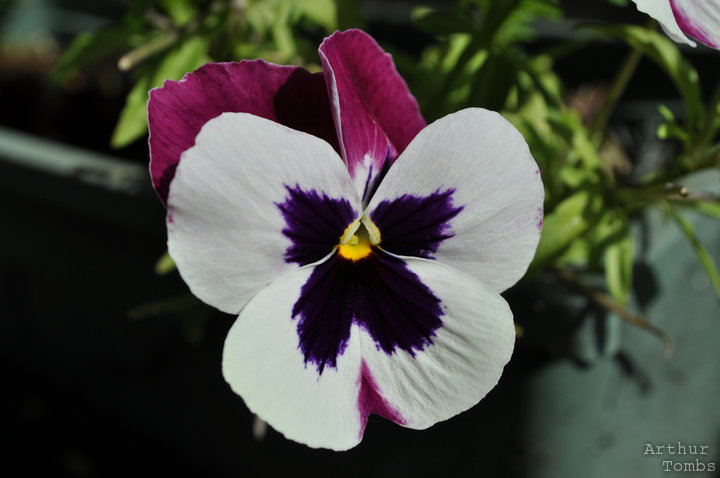 An image with no caption...