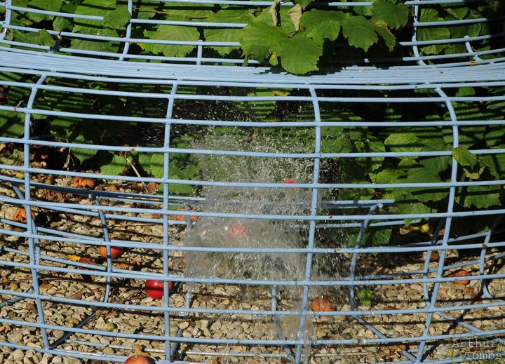 An image with no caption...