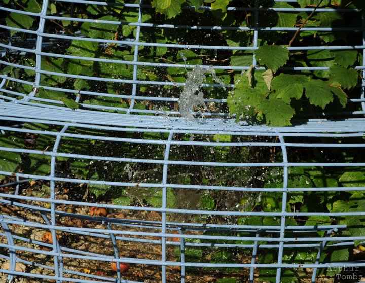 An image with no caption...