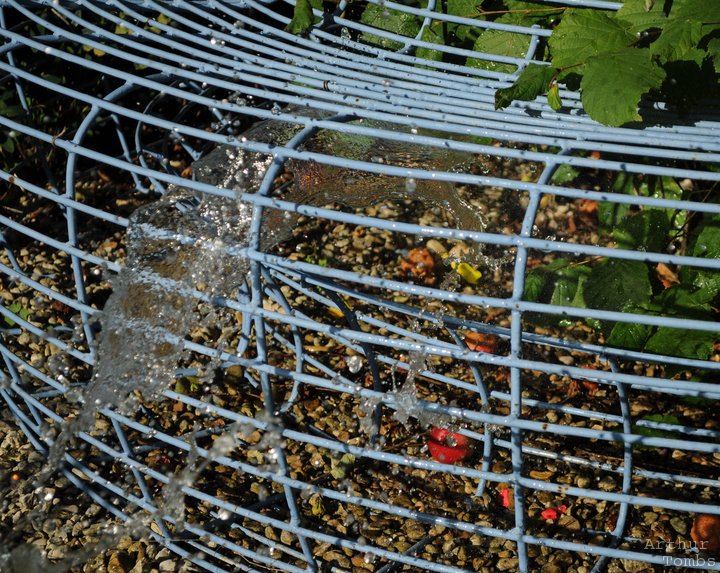 An image with no caption...