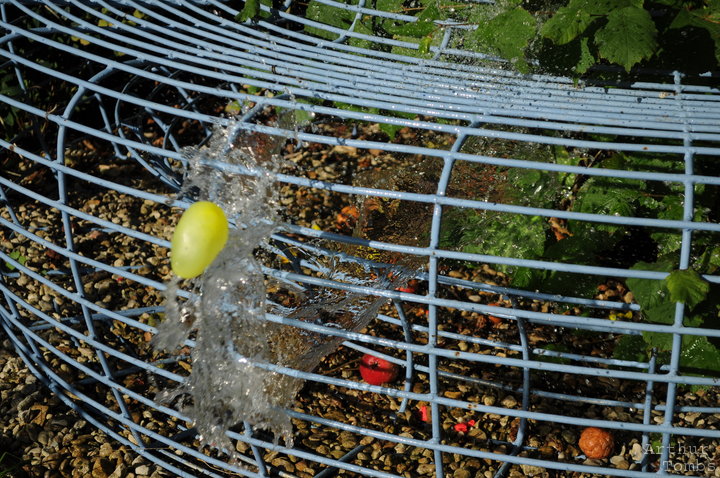 An image with no caption...