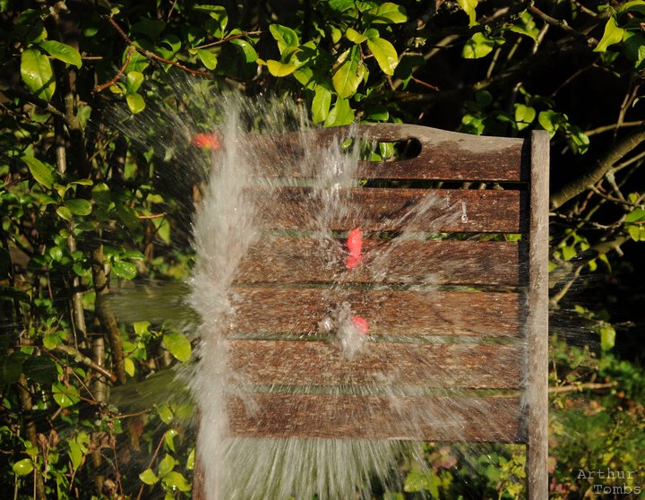 An image with no caption...