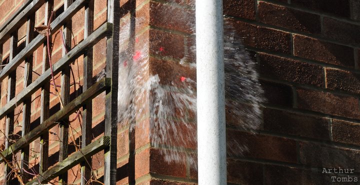 An image with no caption...