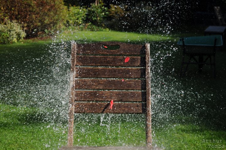 An image with no caption...