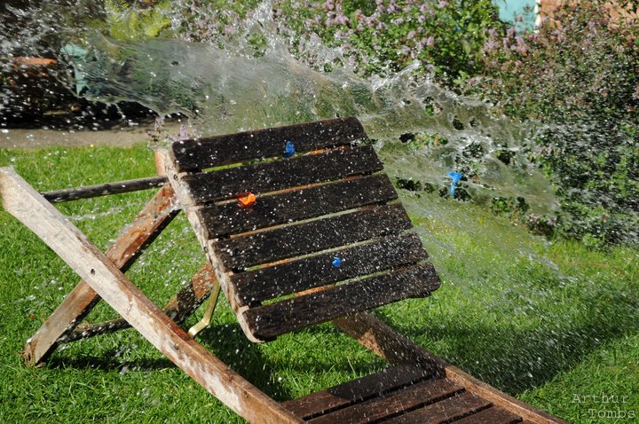 An image with no caption...